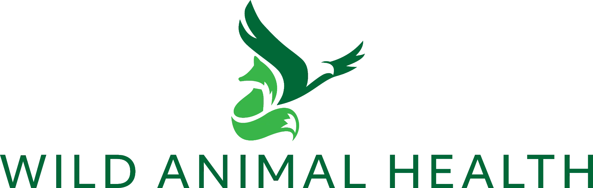 Wild Animal Health